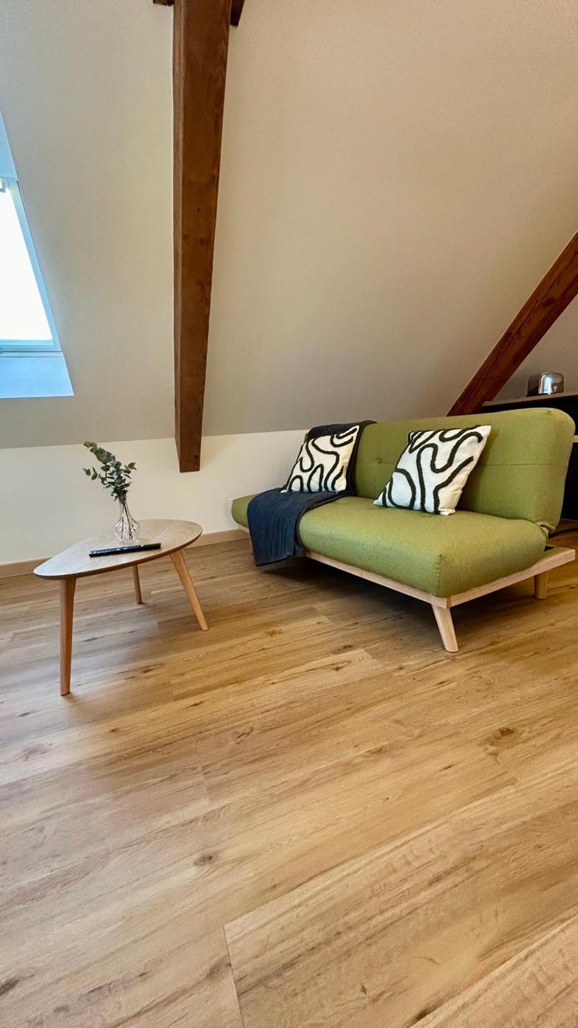 Appartement Moderne Et Spacieux, A 10 Min De La Gare Κολμάρ Εξωτερικό φωτογραφία